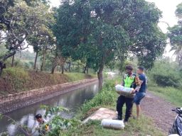 Lepas 10.000 Benih Ikan dari Polsek Tegalampel, Dukung Program Ketahanan Pangan