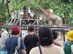 Semarak Lebaran 2026 di Kebun Binatang Surabaya Hadirkan Hiburan, Edukasi, dan Pengalaman Interaktif