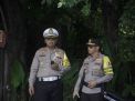Kapolda Bali Pastikan Pengamanan Pintu Masuk Area Tahura Mangrove
