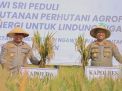 Kapolda Jatim Tanam Bibit Alpukat dan Panen Raya Bersama Forkopimda Ngawi