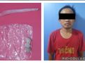 Satresnarkoba Polres Tanjung Perak Bekuk Sopir Truk Edarkan Sabu dan Pil Extasi