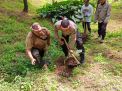 Perhutani Bersama Polri Lakukan Penanaman Pohon