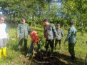 Perhutani Blitar Lakukan Penanaman di Lokasi Eks Tebu