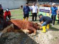 Kapolres Gresik Bagi 86 Hewan Qurban di Hari Raya Idul Adha 1445H
