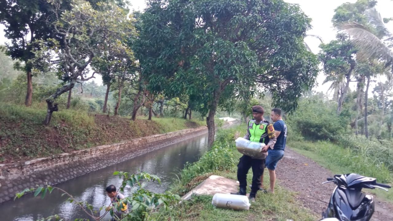 Polsek Tegalampel lepas 10.000 benih ikan