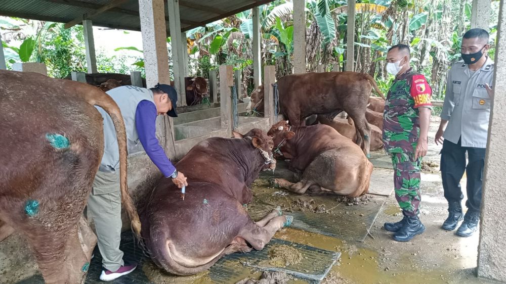 Bhabinkamtibmas Polres Gresik Pantau Terus Perkembangan Virus PMK