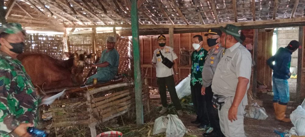 Gabungan Polres Bojonegoro lakukan pencegahan virus PMK